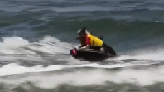 會極限運動的狗狗