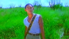 路邊一枝草