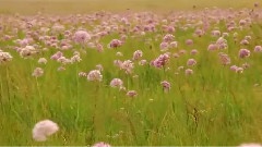 心靈睡過的地方 風光版