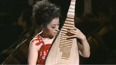 綻放