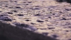 Morgan's Bay