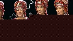 民樂群星 - 美麗姑娘