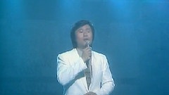 情愛幾多哀