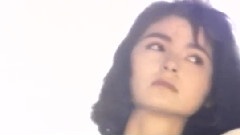 想你在風中