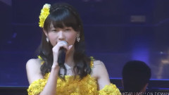 春が來るまで