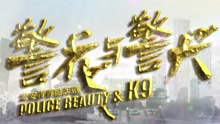  - 電視劇《警花與警犬》片頭曲