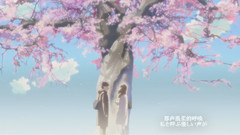 貴樹君,明里醬想于你