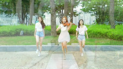 FLY VIOLIN COVER