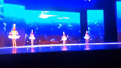 公主的夢想