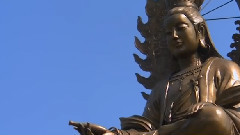 金燦 - 菩提心語