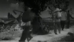 人歡馬叫5