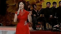 梨園春色滿人間京劇演唱會片段4