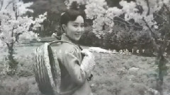 暢美拍