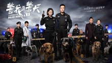 相信你，相信我 電視劇《警花與警犬》主題曲
