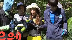 Yuri吃沒熟的木瓜