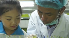 綠國惞源
