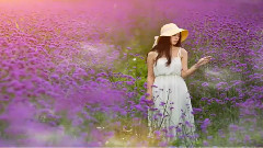 輕音樂 - 薰衣草的陰影(德國低音長笛)