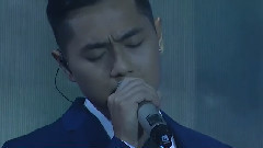 當狗愛上貓