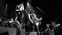 Shake & Shout