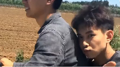 戀愛使用說明書