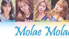 Molae Molae認人版