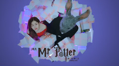 Mr. Potter - YEBIN 預告版