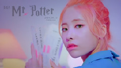 Mr. Potter - 喜賢 預告版