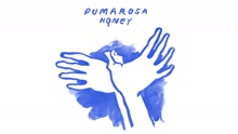 Honey 試聽版