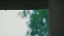 我說的很少