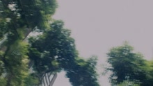 幸運的人