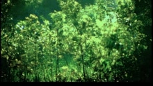 無聊一天