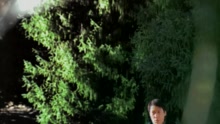 如果可以再見你