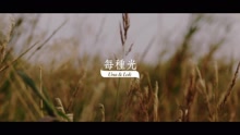 每種光