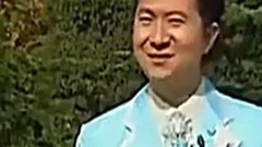 兩只大象