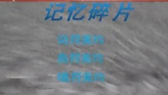 記憶碎片