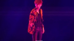 伯賢Solo
