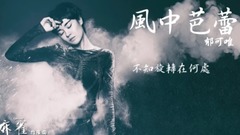 風中芭蕾
