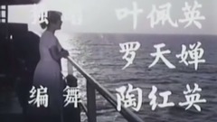 高飛的海燕