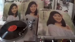 你裝做不知道(1978年polydor黑膠版)