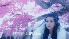 蓮殤 幻城 插曲