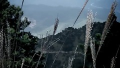 幸福來臨