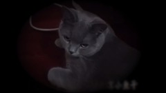 你們好我是Cat大人