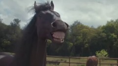 R?a?nyehorses in advertising Volkswagen