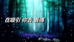 丑小鴨天鵝湖