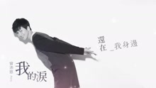 我的淚 歌詞版