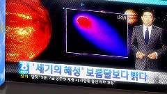 來自星星的小羊