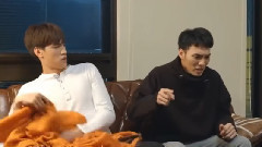 狐貍精