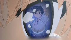 貓