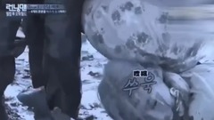 全世界最好欺負的泰寶寶