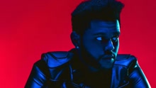 Starboy 歌詞版